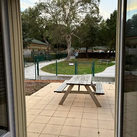 Appartement Les Des Pins *